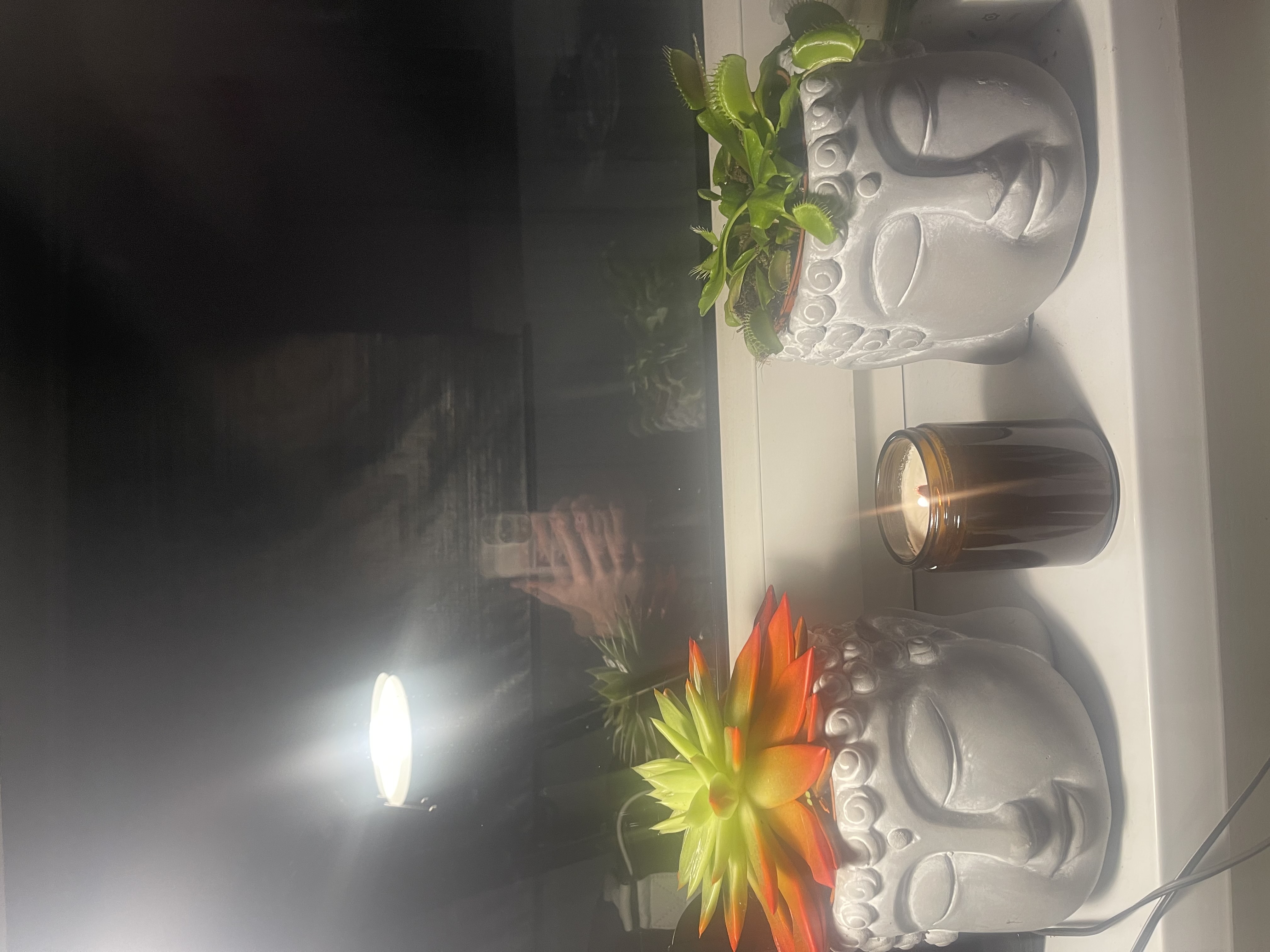 Zapal Swiatlo Wolnosci  2